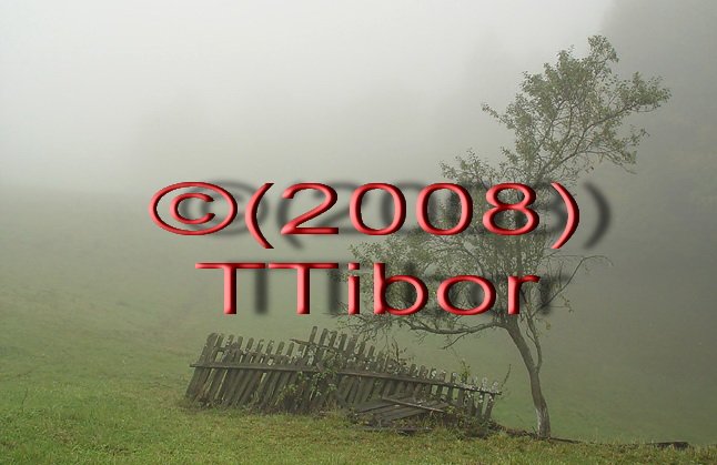 Garden*28*