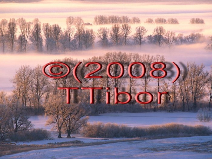 Winter*23*