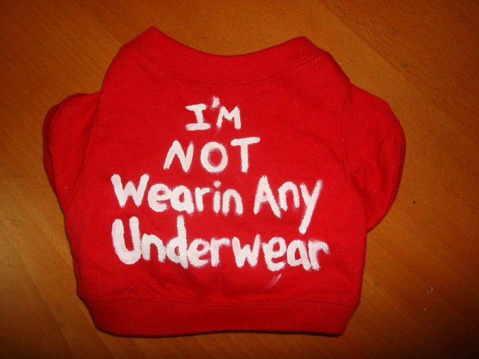 'im not wearing any underwear' handmade shirt