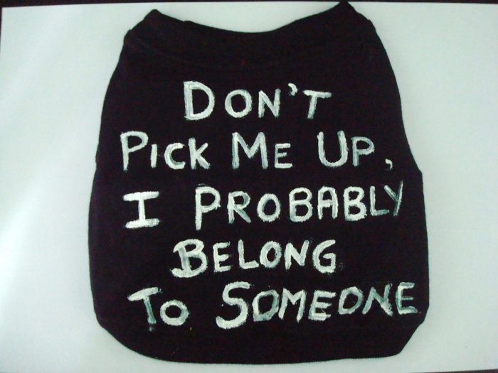 'Don't pick me up, i probably belong to someone.' hand made shirt