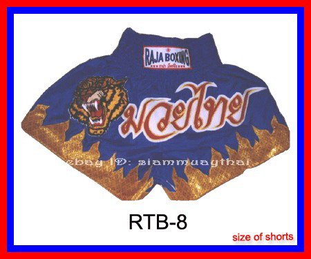 RAJA Muaythai boxing shorts RTB-B Blue