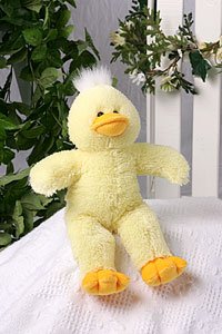 Duck 15in Kit