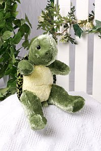 Turtle 15in KIt