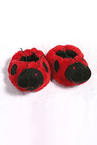 Lady Bug Slippers