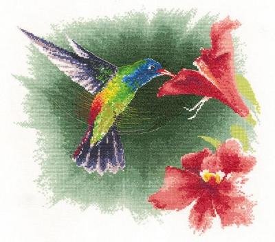 JOHN CLAYTON WATERCOLOR CROSS STITCH KIT HUMMINGBIRD IN FLIGHT
