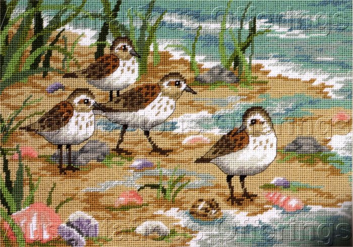 RARE SEASIDE BEACHSCAPE NEEDLEPOINT KIT SANDPIPER FAMILY