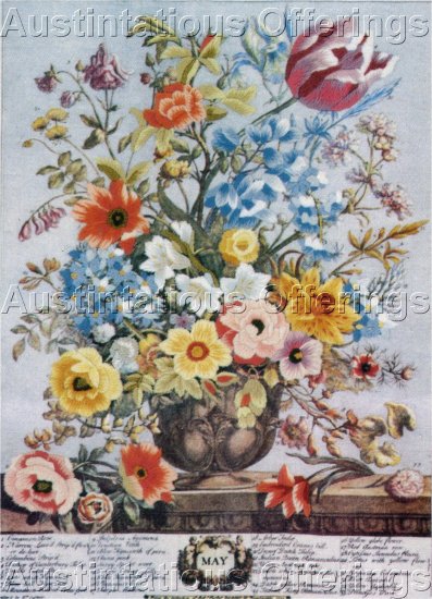 RARE FURBER REPRODUCTION BOTANICAL SERIES PLATE CREWEL EMBROIDERY KIT HORTICULTURAL INTEREST