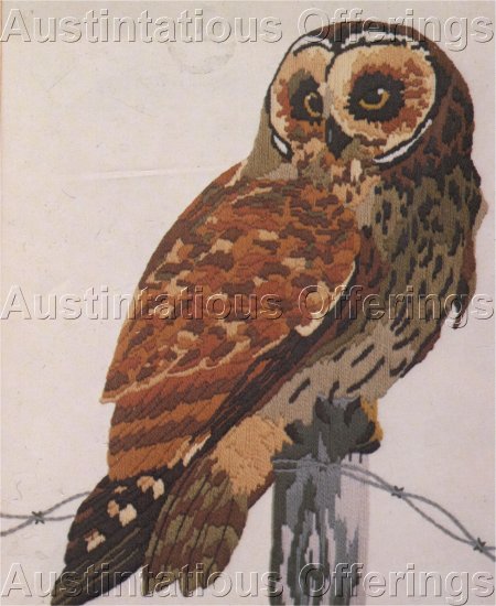 RARE BIRD OF PREY CREWEL EMBROIDERY KIT SHORT EARED OWL