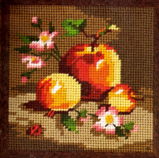 RIENSTRA BLOSSOMS AND APPLES JIFFY NEEDLEPOINT KIT