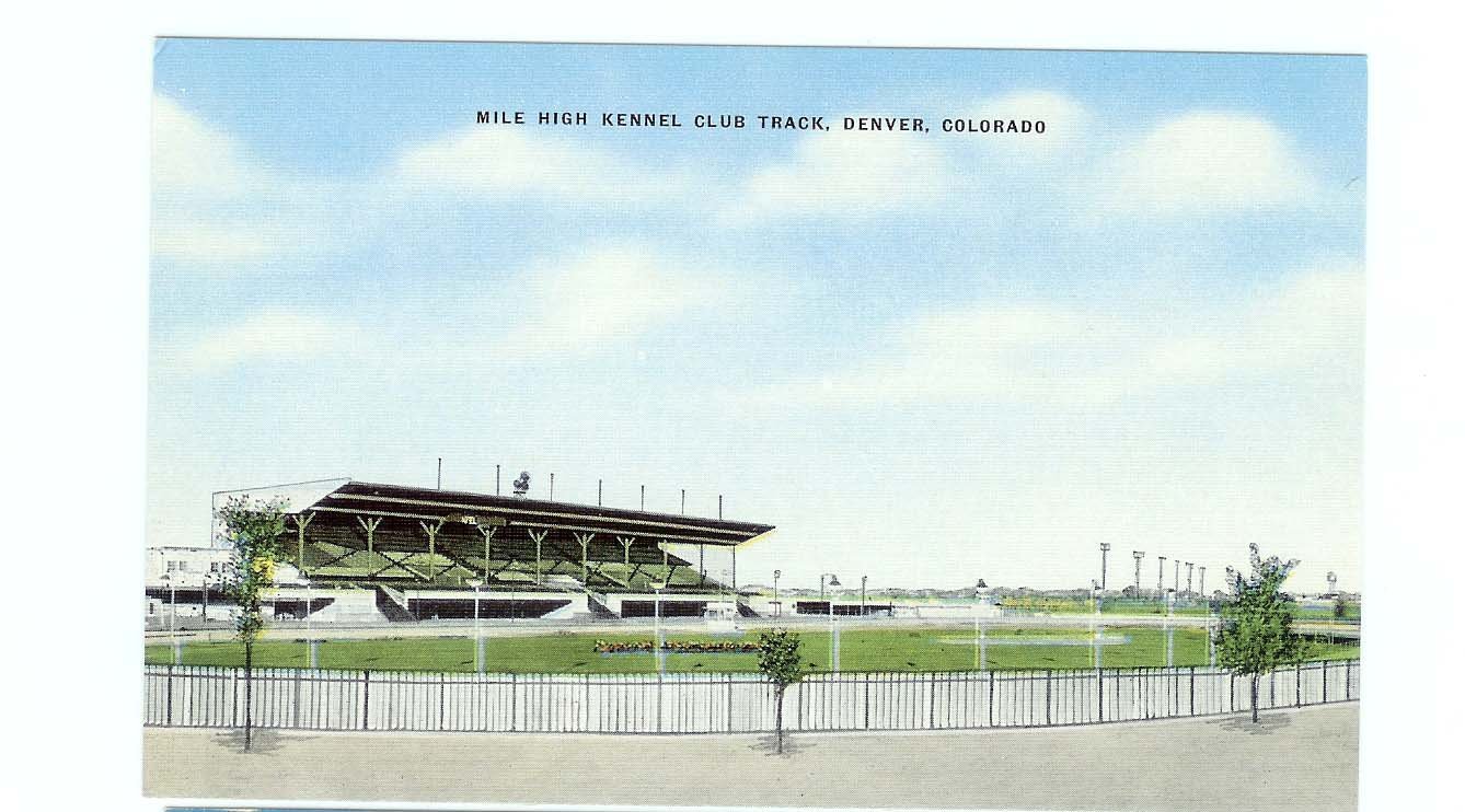 Mile High Kennel Club Track Denver Colorado Postcard unused Linen