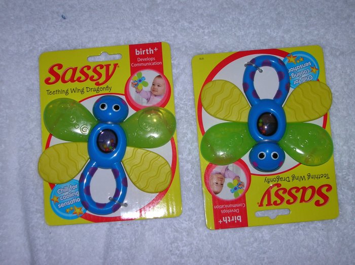 Sassy Dragonfly Teeter