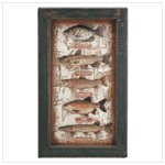 Freshwater Fish Shadow Box 33936
