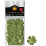 Bazzill Paper Flowers 1.5" -primula parakeet