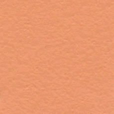 Bazzill Orange Peel 12x12 Creamsicle- Retired T3.342
