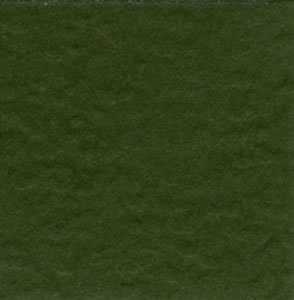 Bazzill Prismatic Herbal Garden Dark T19.5511