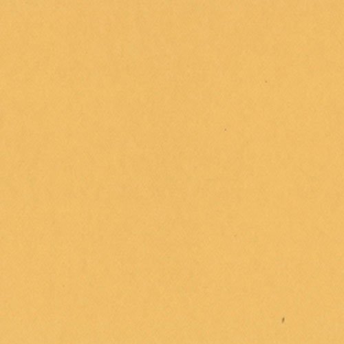 Bazzill cardstock 12x12 sunflower