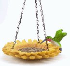 Hummingbird In Sunflower Bird Feeder