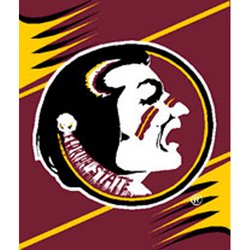 Florida State Seminoles Royal Plush Raschel NCAA Blanket by Northwest MSRP $40.00
