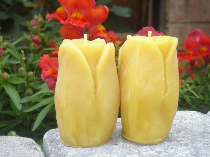 A beautiful pair of Tulips - 100% pure beeswax and cotton wick