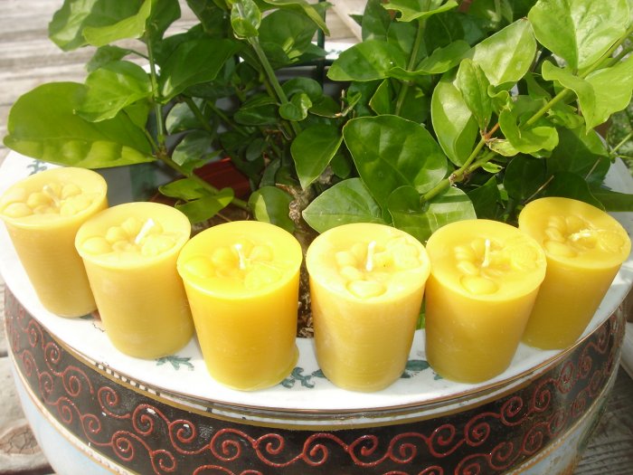 Beautiful heart and bee top votives - 6 pack