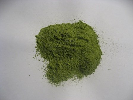 Indigo 200g 2008 | Indigo For Hair | Indigofera tinctoria