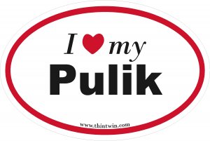 Pulik Oval Car Sticker