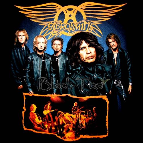 AEROSMITH BLACK ROCK TEE T SHIRT BAND Size L / E88