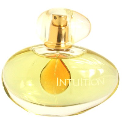 Intuition Eau De Perfume by Estee Lauder for Women 3.4 oz