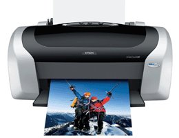 Epson Stylus C87