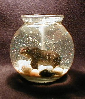 Black Bear 2