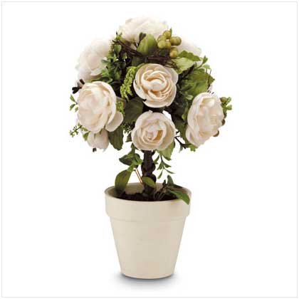 Rose Topiary 32074