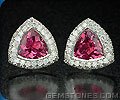 Exclusive Earring