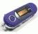 1-GB MP3 Player+ FM Tuner + Flash Disk