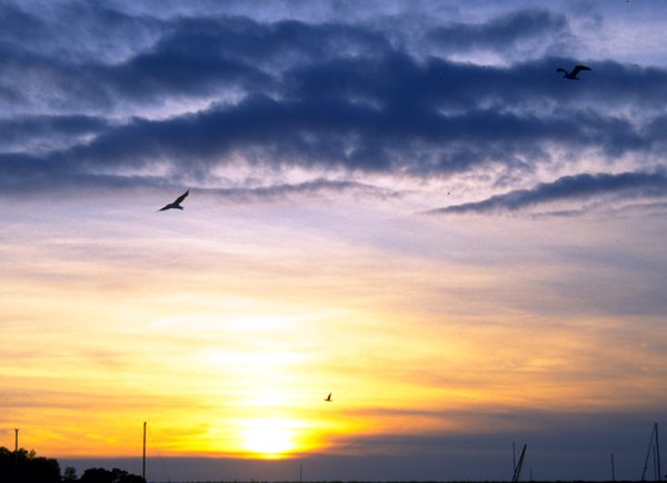 Early Morning Flight