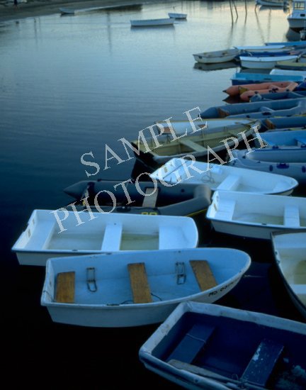 Docked Boats 2