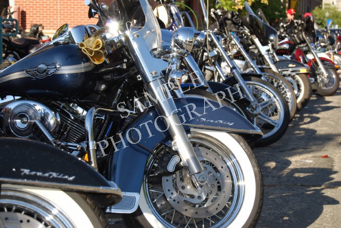 Road King