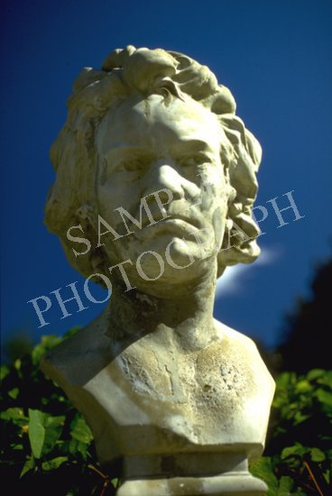 Bust(ed)
