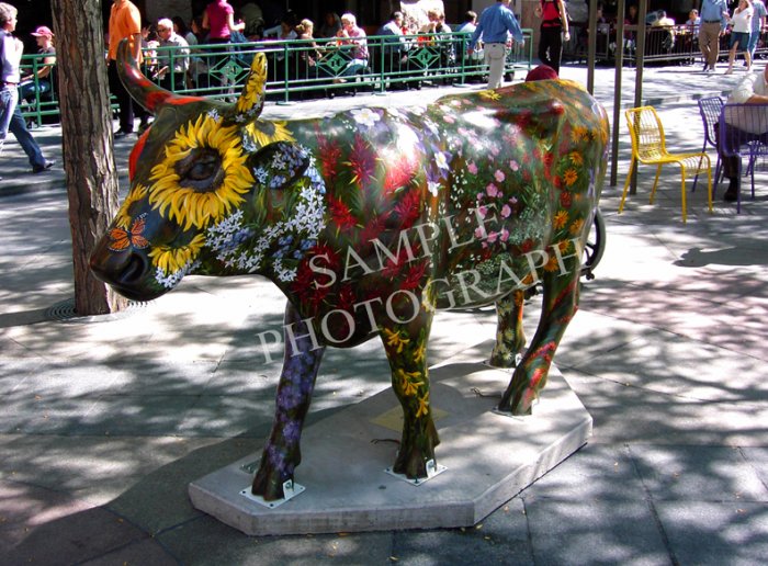 Cows On Parade - Alpine Explosion