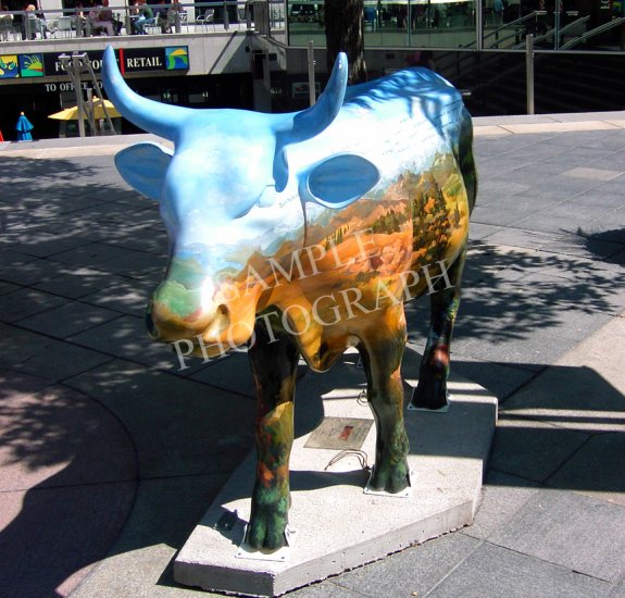 Cows On Parade - 14,000 ft Cow