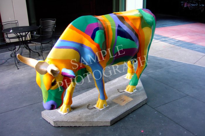 Cows On Parade - Bovine Beauty