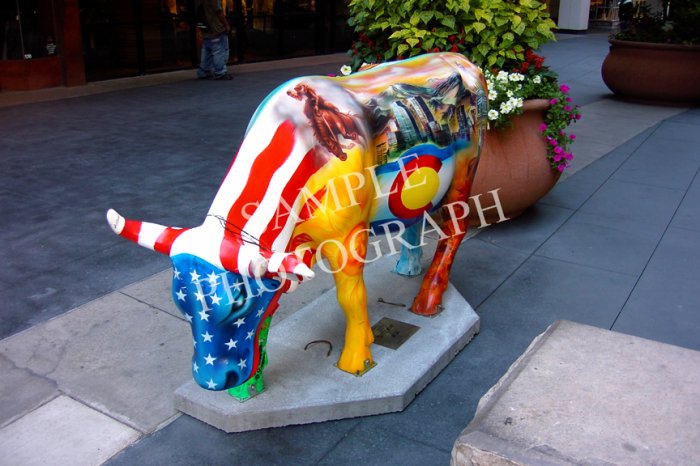 Cows On Parade - Cow Town USA
