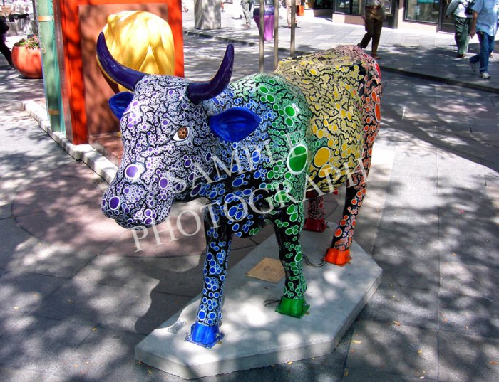 Cows On Parade - Cowversity