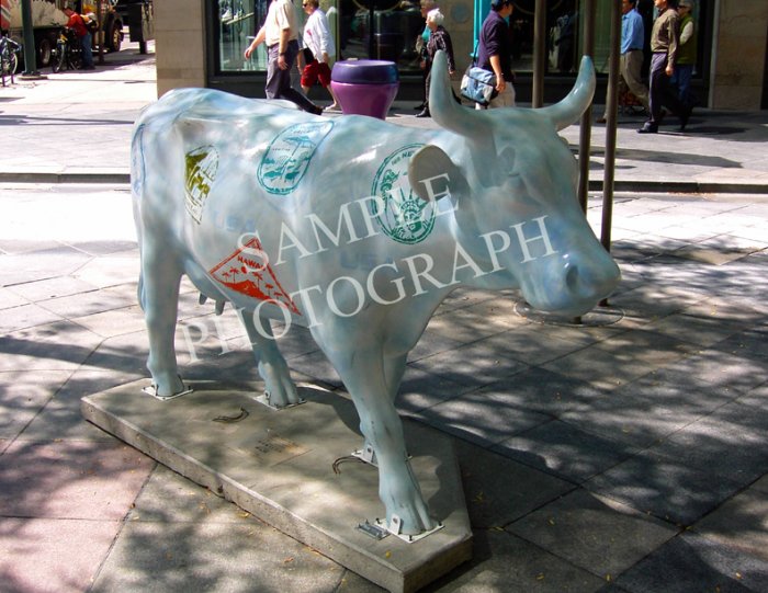 Cows On Parade - Denver, Moo Mean So Much To Us