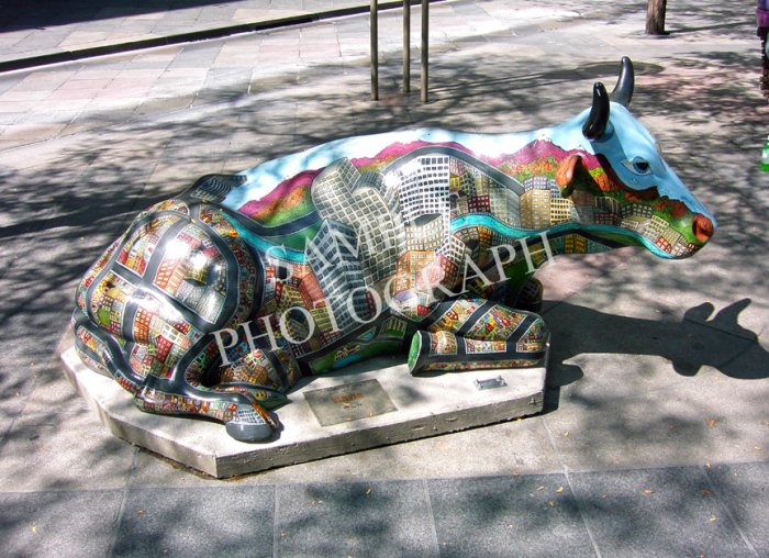 Cows On Parade - Fifty Moo-Eighty