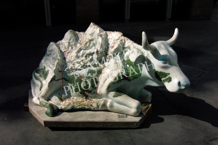 Cows On Parade - Mt Bovine Cowlorado