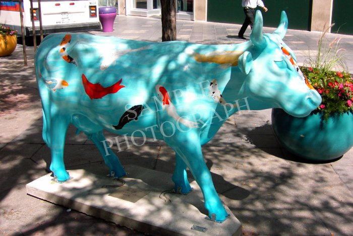 Cows On Parade - Udderly Tranquil
