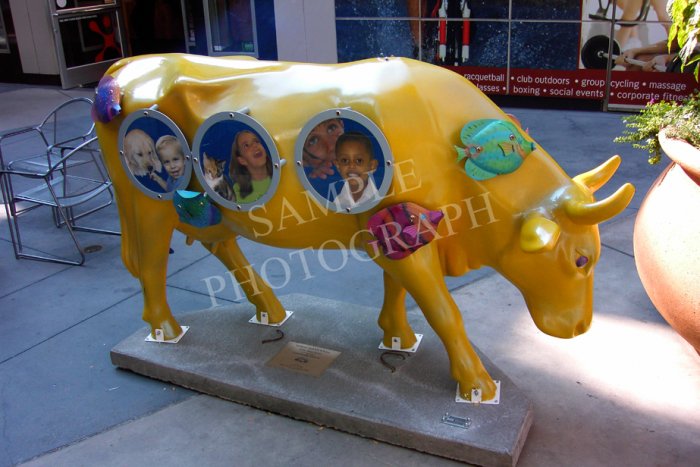 Cows On Parade - Yellow SubmOOrine