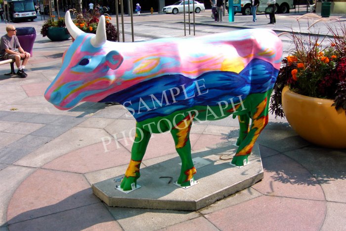 Cows On Parade - YourHub.com