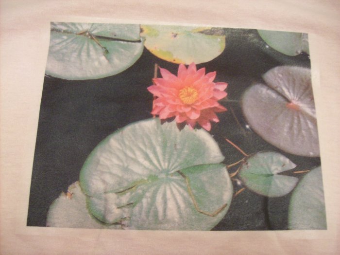 14-16, light pink, lilypad with pink flower