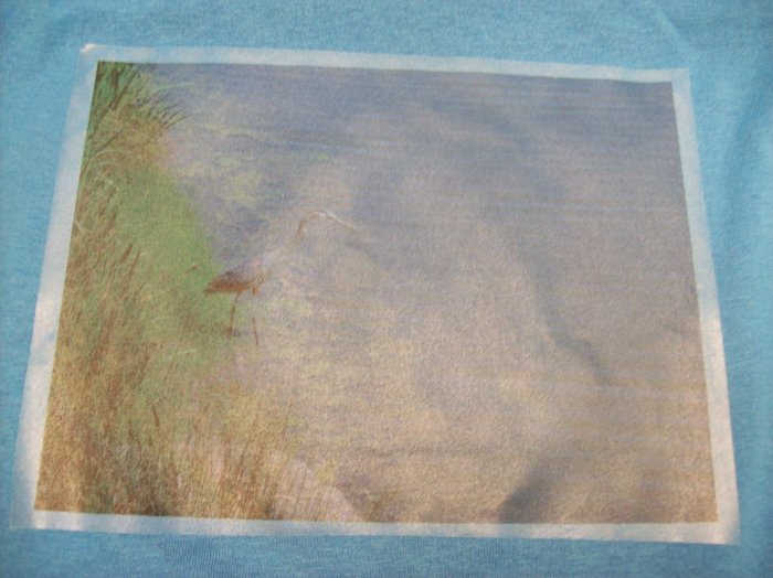 10-12, blue, blue heron